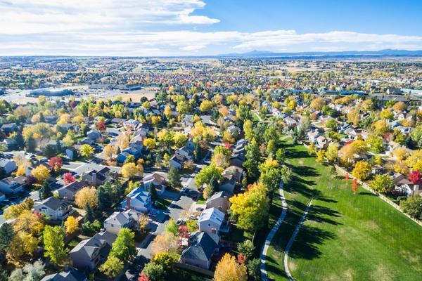 Local Market Analysis : Lease-up Plan