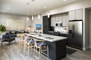 Rendering of an Apartment Kitchen