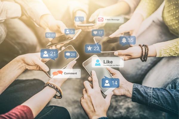 Social Media Audience