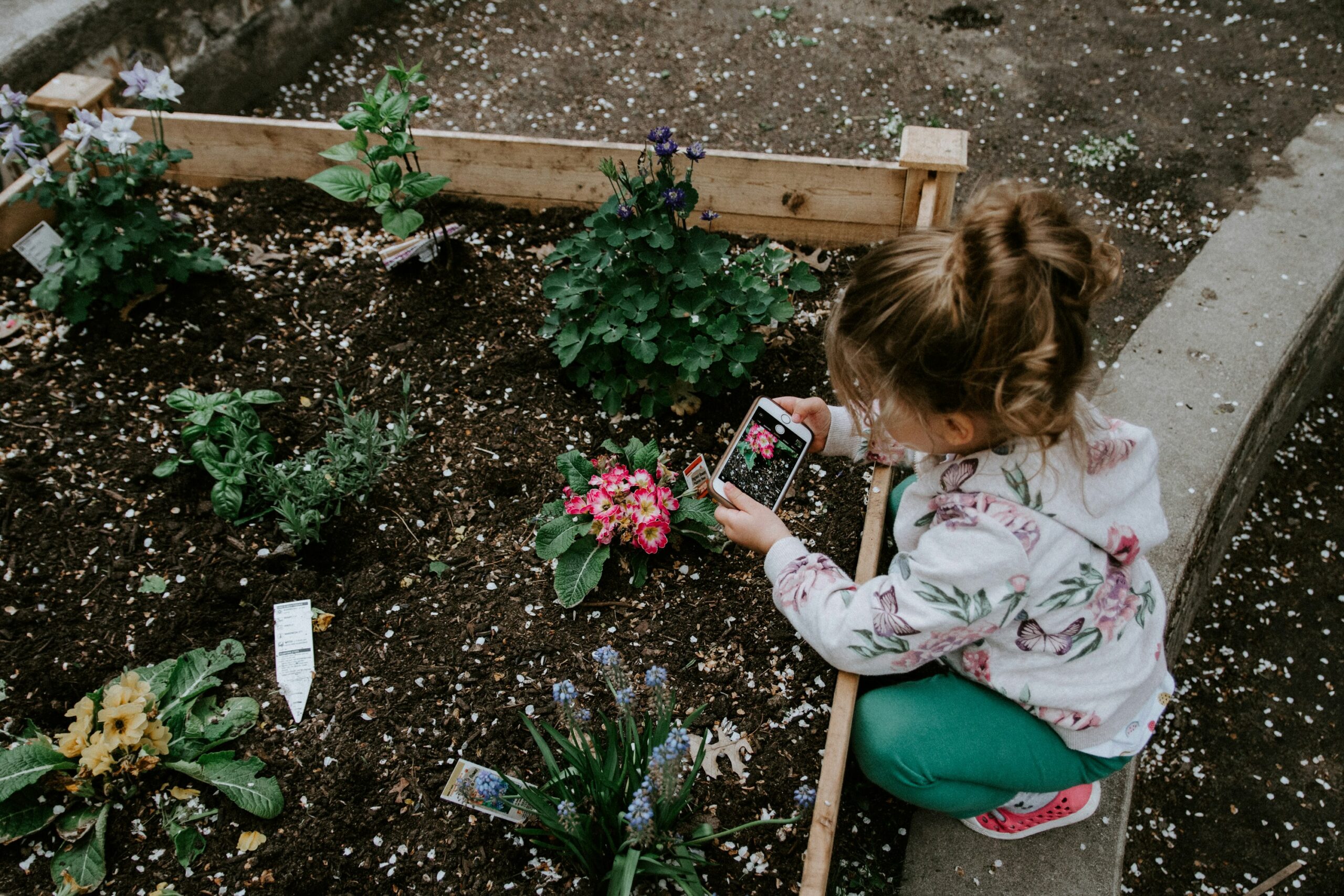 gardening
