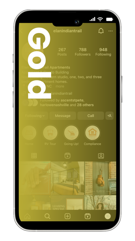 Gold Social Media Package