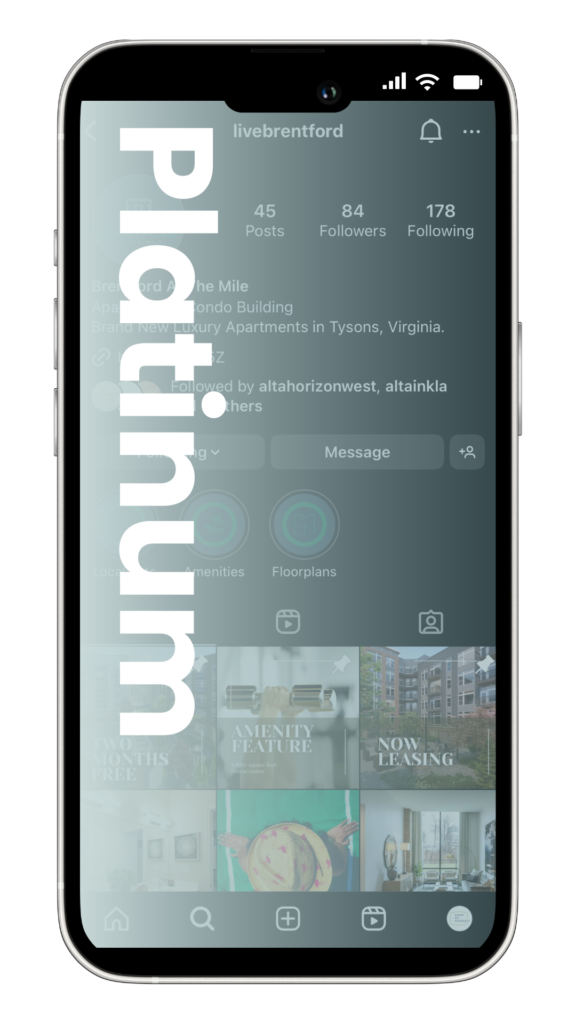 Platinum Social Media Package