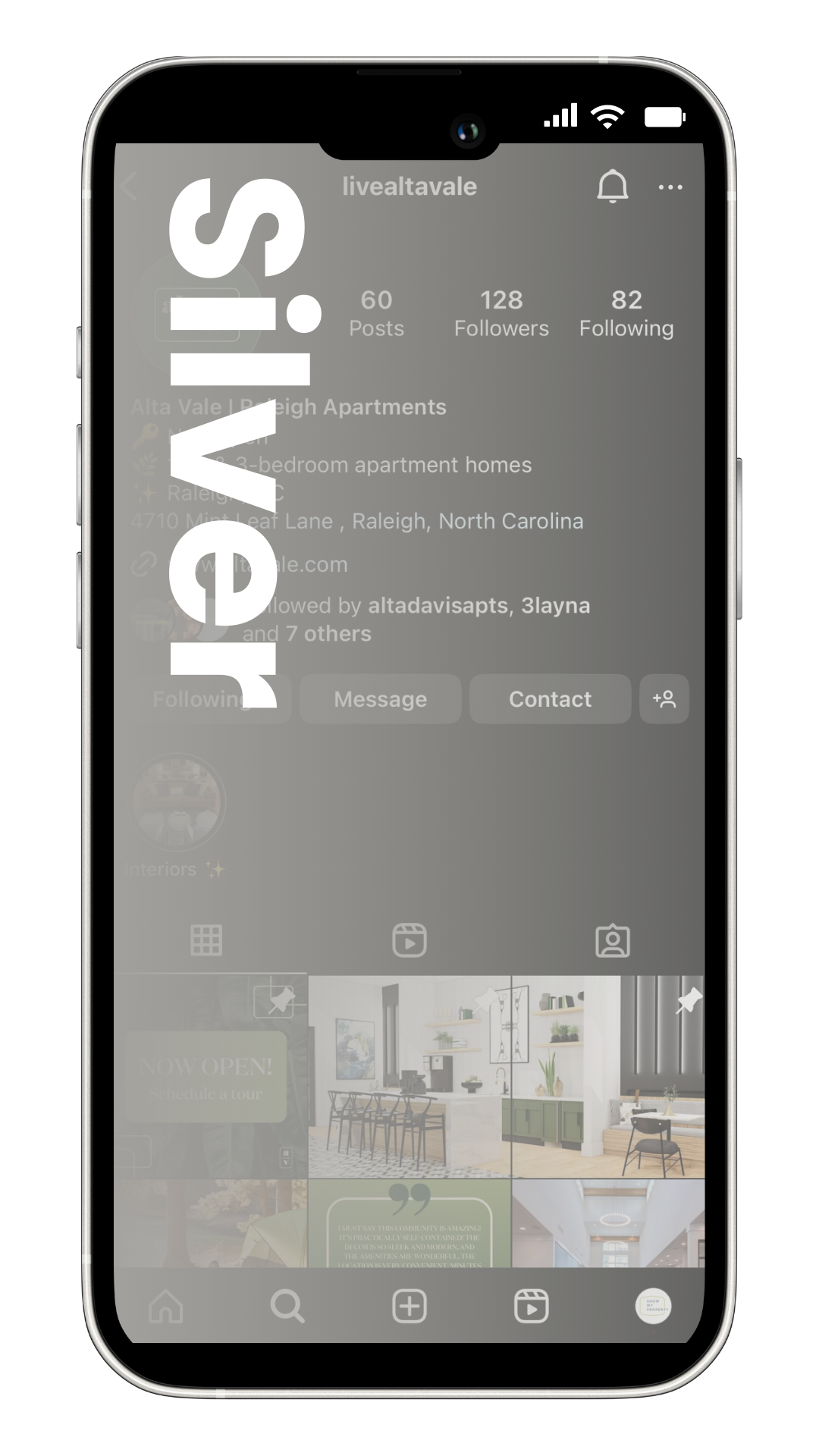 Silver Social Media Package